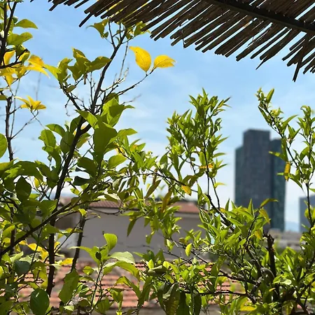 The Urban Garden Apartman Tirana