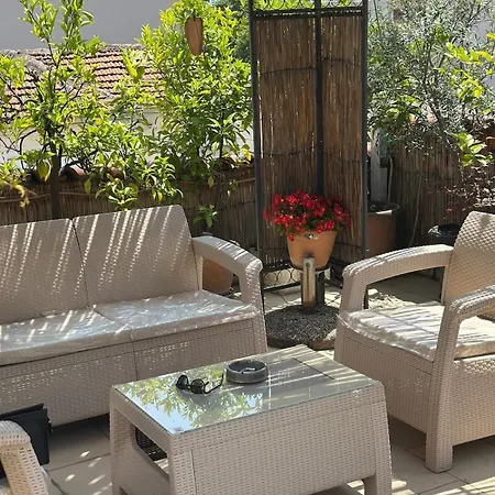 The Urban Garden * Tiran